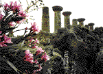 Agrigento, Sicily in the spring time
